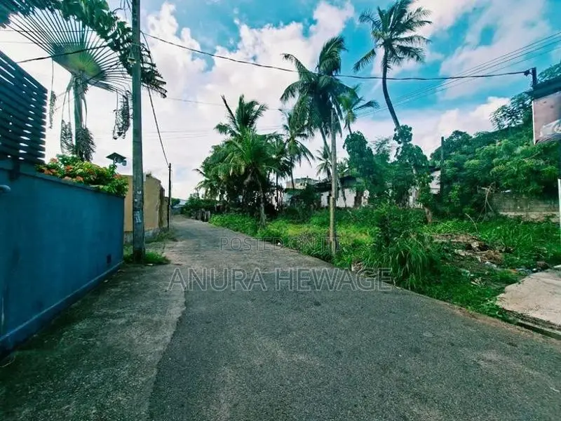 පැලවත්ත, බත්තරමුල්ල, ප්‍රදේශයේ පිහිටි ඉඩමක් විකිණීමට ඇත. (ID: PLWT003S