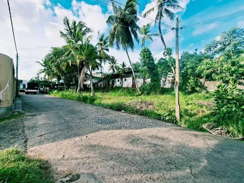 පැලවත්ත, බත්තරමුල්ල, ප්‍රදේශයේ පිහිටි ඉඩමක් විකිණීමට ඇත. (ID: PLWT003S