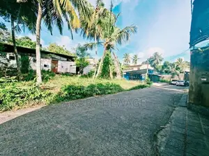 පැලවත්ත, බත්තරමුල්ල, ප්‍රදේශයේ පිහිටි ඉඩමක් විකිණීමට ඇත. (ID: PLWT003S
