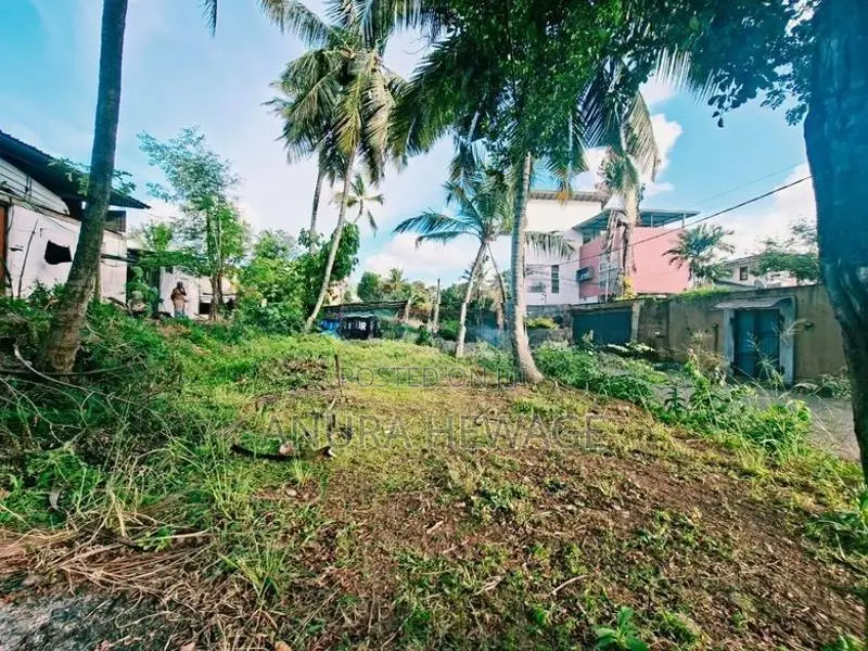 පැලවත්ත, බත්තරමුල්ල, ප්‍රදේශයේ පිහිටි ඉඩමක් විකිණීමට ඇත. (ID: PLWT003S