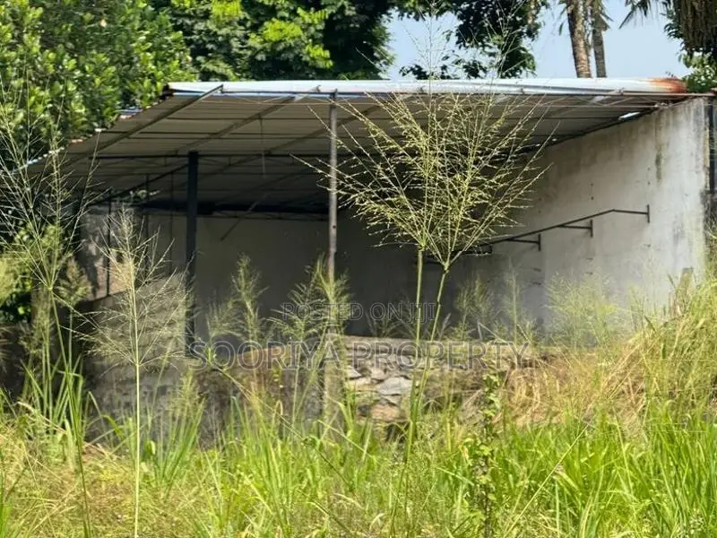 37 Perches Residential Land for Sale in Pannipitiya