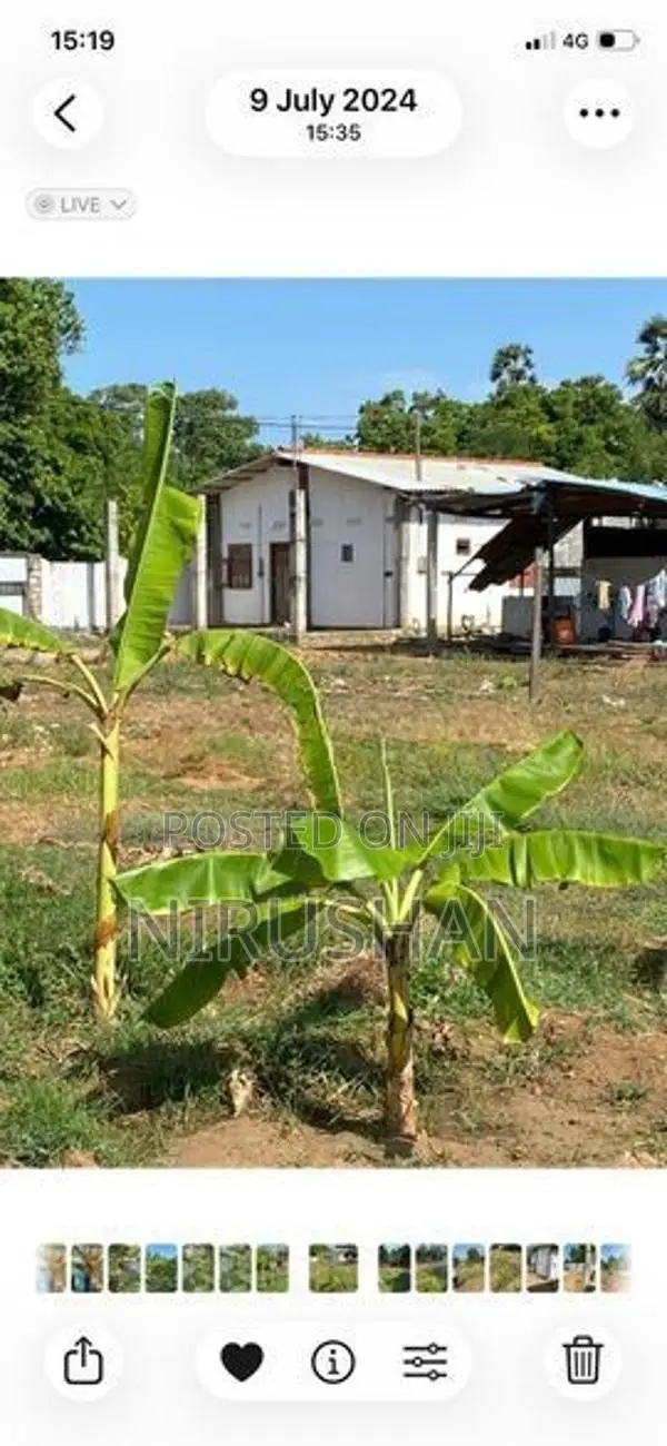 Land for Sale Jaffna