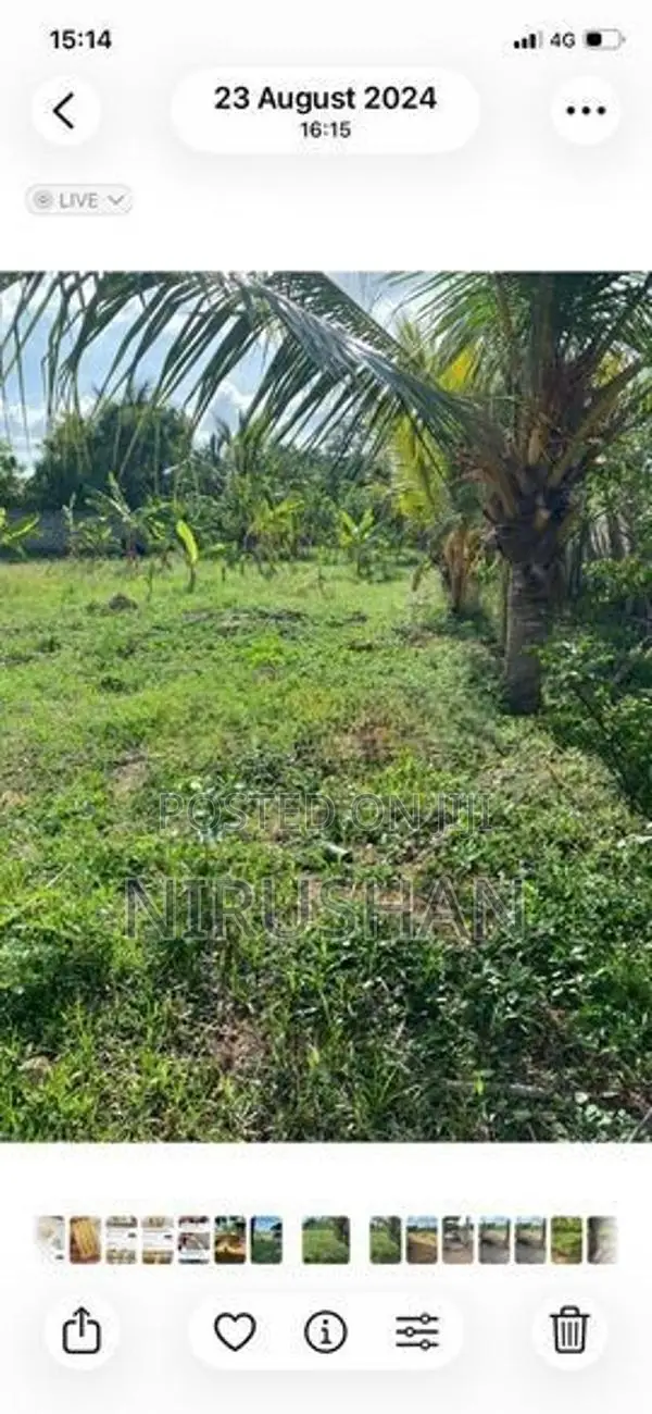 Land for Sale Jaffna