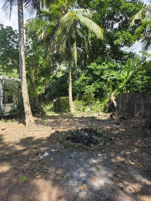 Spacious 32 Perch Land With House For Sale Yakkala In Gampaha