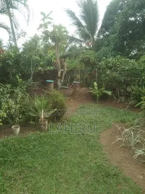 Land For Sale Homagama
