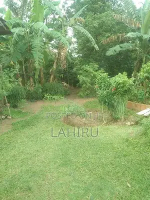 Land For Sale Homagama