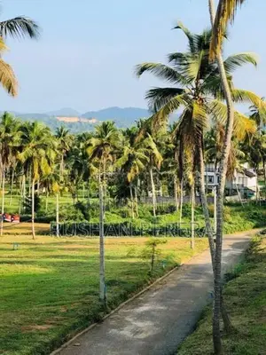 Kurunegala Narammala Land For Sale
