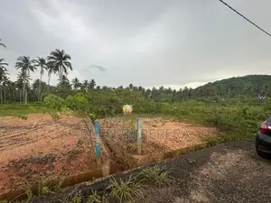 Kurunegala Narammala Land For Sale