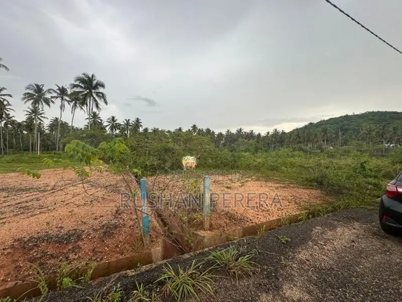 Kurunegala Narammala Land For Sale