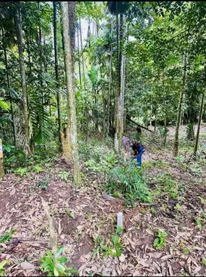 Land for Sale in Kandy Madawela.