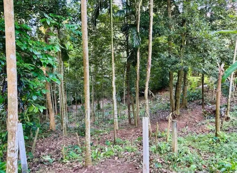 Land for Sale in Kandy Madawela.