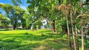 Residential Land for Sale in Pamankada (c7-10672)