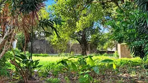 Residential Land for Sale in Pamankada (c7-10672)