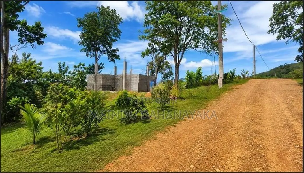 VIP Kingdom II - Welimada