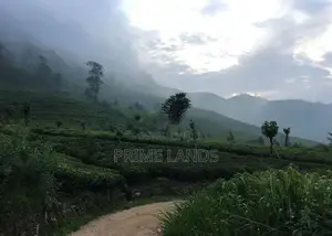 View Point Land for Sale Perttashi Road Nuwaraeliya