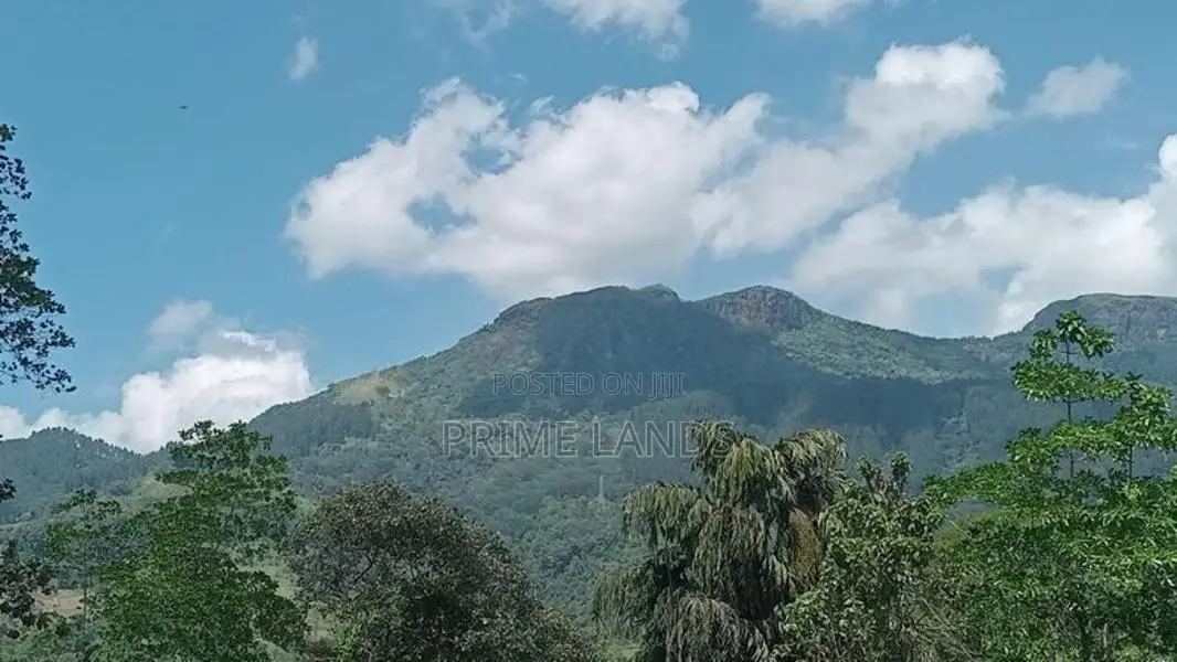 View Point Land for Sale Perttashi Road Nuwaraeliya