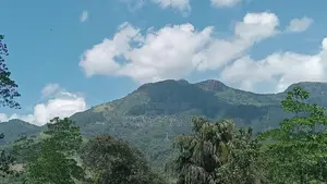 View Point Land for Sale Perttashi Road Nuwaraeliya