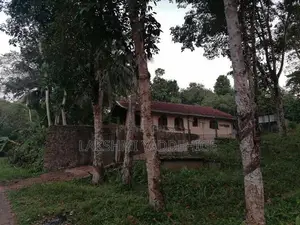 Alakaka Valuable House for Sale Haburgala
