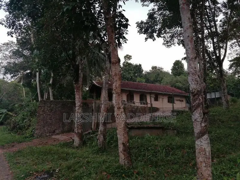 Alakaka Valuable House for Sale Haburgala