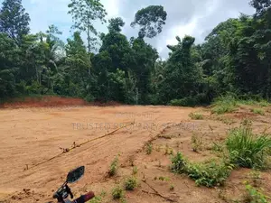 Narammala Land for Sale