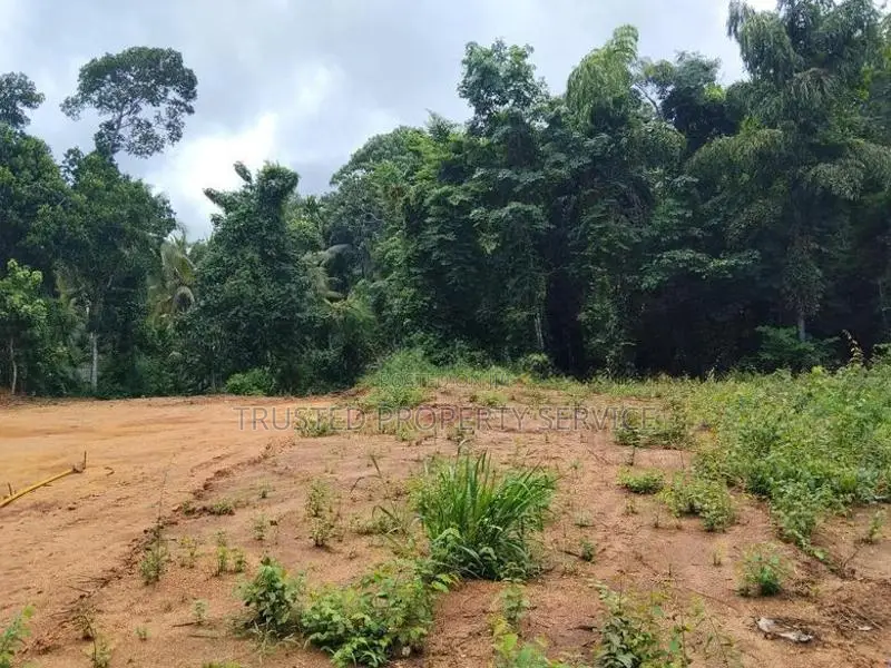 Narammala Land for Sale
