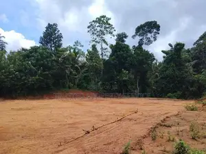 Narammala Land for Sale