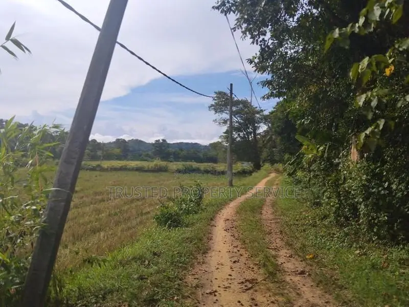 Narammala Land for Sale