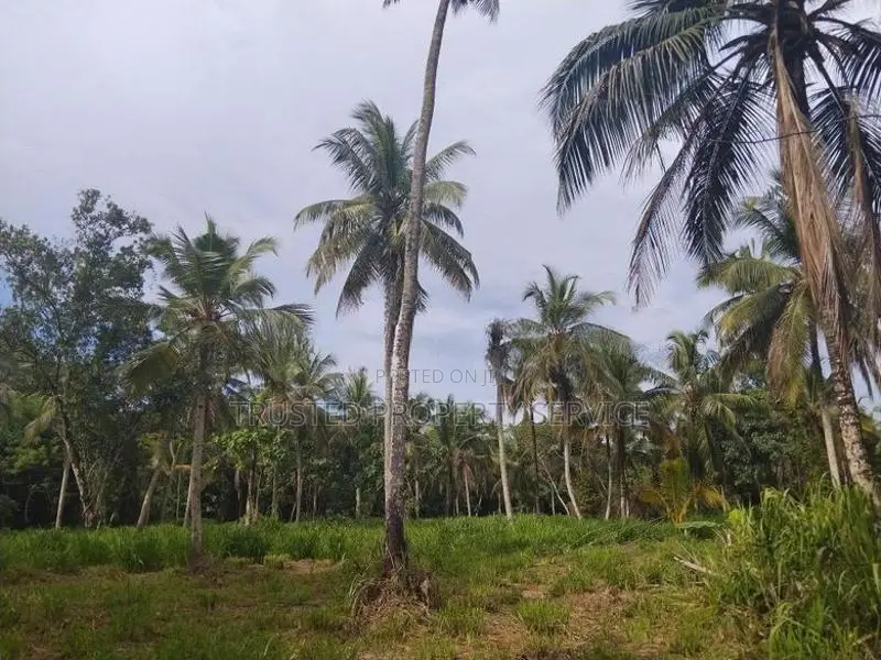 Narammala Land for Sale