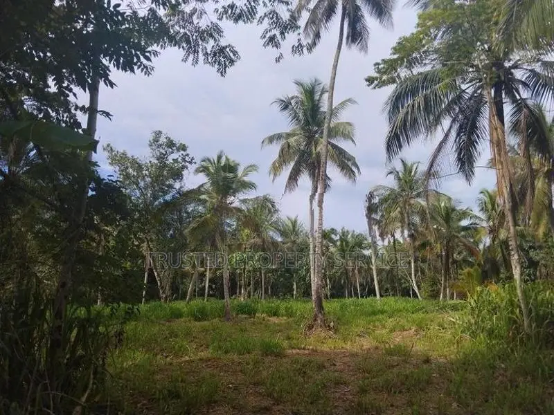Narammala Land for Sale