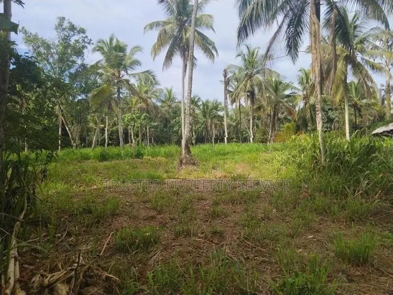 Narammala Land for Sale