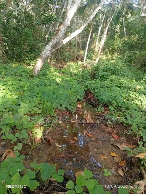 Tourism Land for Sale in Matara