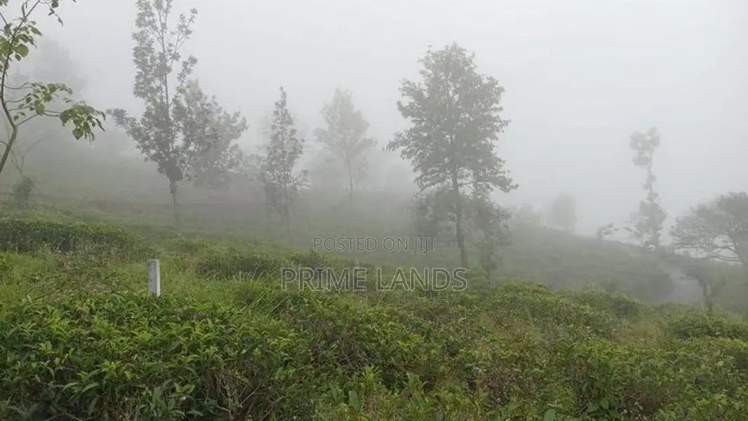 View Point Land for Sale Pundaluoya