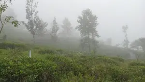 View Point Land for Sale Pundaluoya