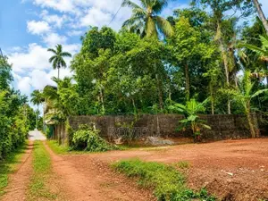 15.6 Perches Land For Sale Homagama