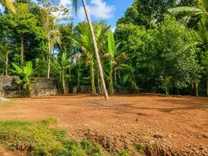 15.6 Perches Land For Sale Homagama