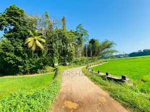 490 P Superb Land at Kirinda, Close to Matara – Hakmana Main Road