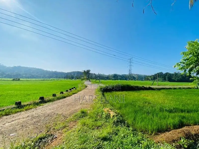 490 P Superb Land at Kirinda, Close to Matara – Hakmana Main Road