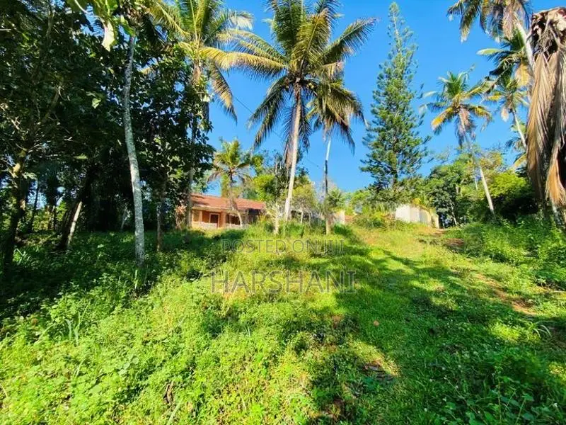 490 P Superb Land at Kirinda, Close to Matara – Hakmana Main Road