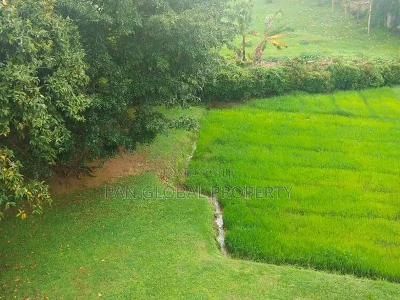 House for Sale in Thalawathugoda