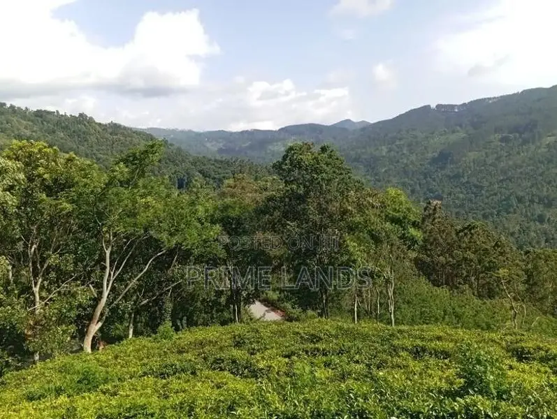 Deram Your Land for Sale Nillabe