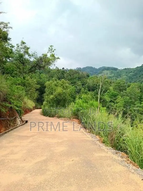 Deram Your Land for Sale Nillabe