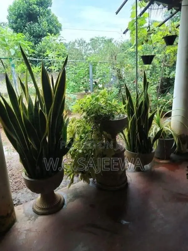 House for sale in seeduwa, wasana uyana
