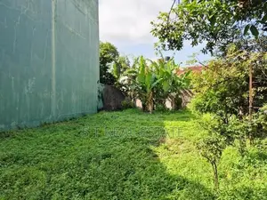 10.95P High Bare Land For Sale In Nawala