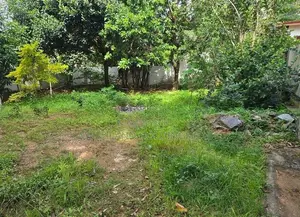 මහනුවර උසාවි සංකීර්ණයට ඇවිදයන දුරින් සමතලා පර්චස් 10 ක් විකිණීමට.
