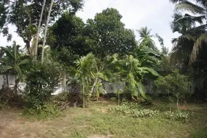 Bungalow for sale at Kalamulla