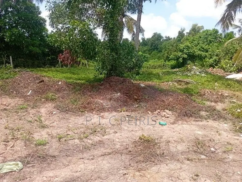 Land for sale in Katunayaka, Andiambalama.Katunayaka.Gampaha.