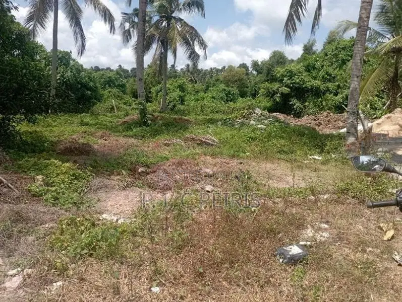 Land for sale in Katunayaka, Andiambalama.Katunayaka.Gampaha.