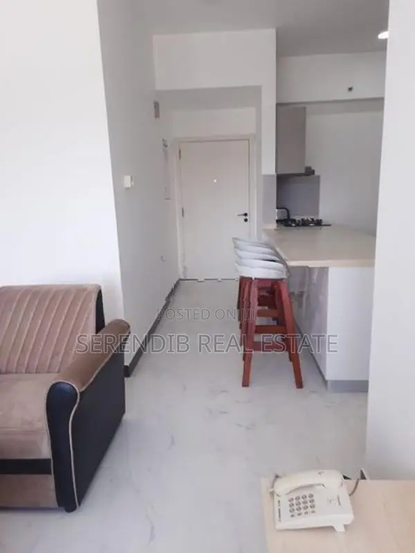 Furnished Apartment Sale in Mt Lavinia
