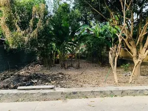 Land For Sale Welisara In Wattala