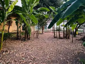 Land For Sale Welisara In Wattala